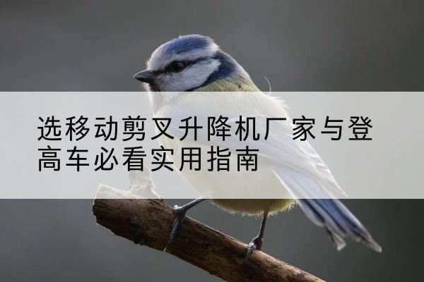平原电动升降机厂家-选移动剪叉升降机厂家与登高车必看实用指南