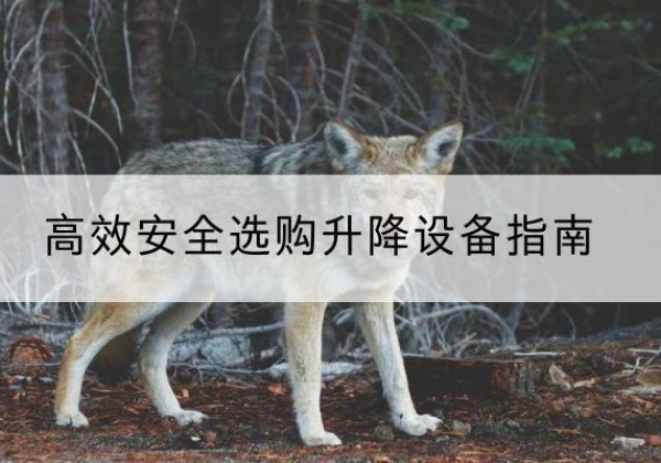 平原升降货梯厂家推荐-*安全选购升降设备指南