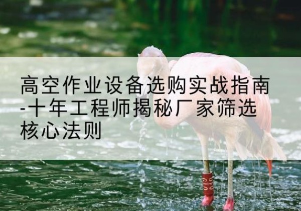 平原剪叉式升降机厂家-高空作业设备选购实战指南-十年工程师揭秘厂家筛选核心法则